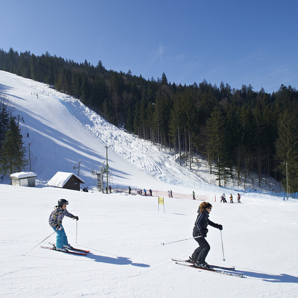Ski sloap Ribnica